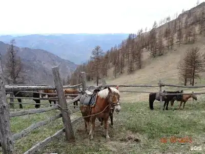 Кемпинг ЦАТ Центр активного туризма - 27