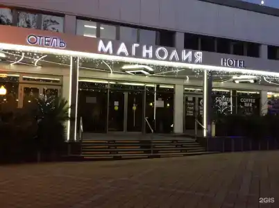Магнолия - 101