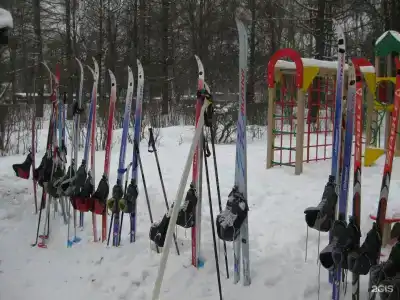 Десна - 96