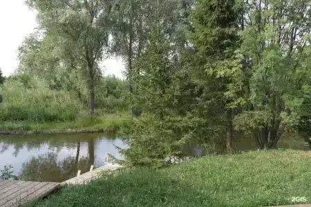 У Борисыча - 12