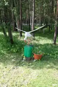 Трубник - 72