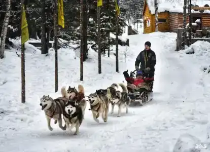 Экостровская - 18