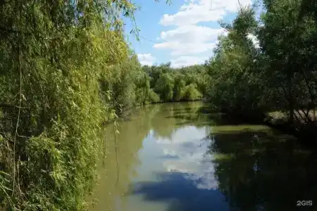 Репино - 8