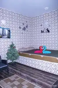 Сириус - 12