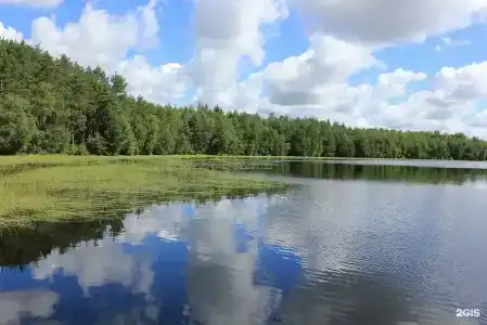 Комета - 21