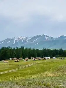 Сайкол - 15