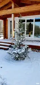 Алтай для Отдыха - 29