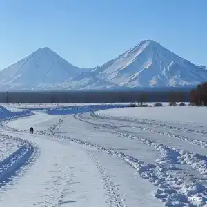 Лесная - 29