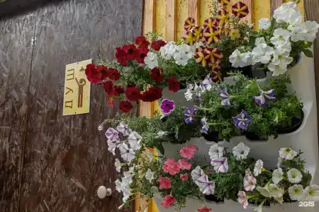 Кемпинг у Волги Лиман - 141