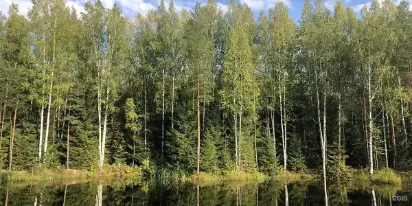 Хутор Марья - 5