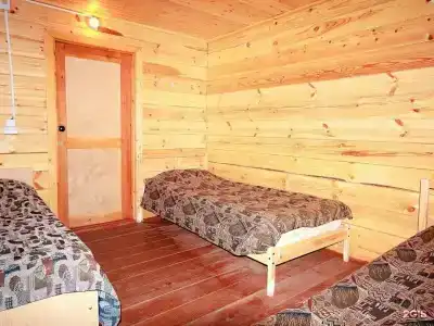 Заповедный бор - 43