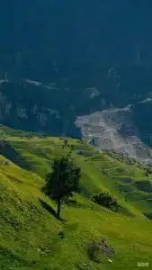 Сахават - 16