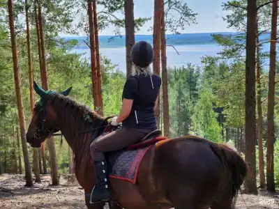 Лосево Парк - 109