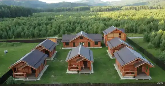 Кедр - 0