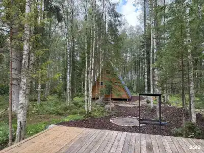 Клевер Экофорест - 1
