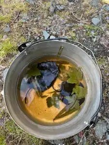 Тюнгур - 111