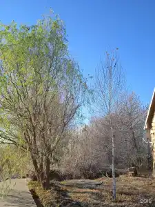Каспийские раскаты - 58