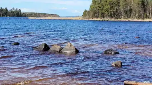 Пяльма - 17