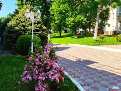 Звёздный - 110