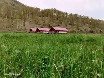 Чедоев Привал - 47