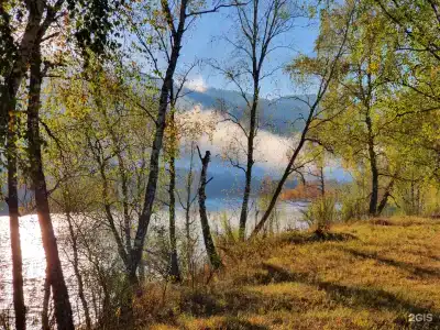 Алтай для Отдыха - 24