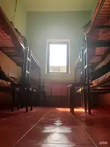 Вежливый Лось Home Boxes на Кутузовской - 50
