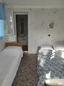 Под пальмой - 36