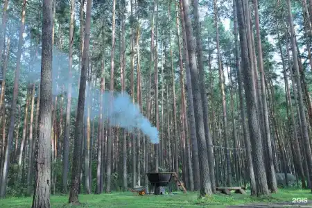 ДухЛес - 106