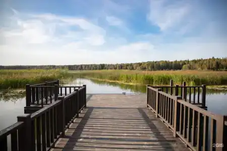 Нешалаши - 14