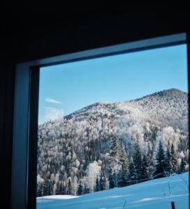 Taiga sky - 29