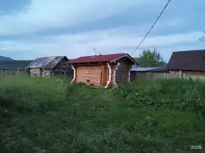 Божьи коровки - 15