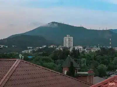 Афалина - 2