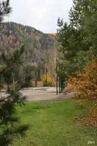 Барбарис - 12