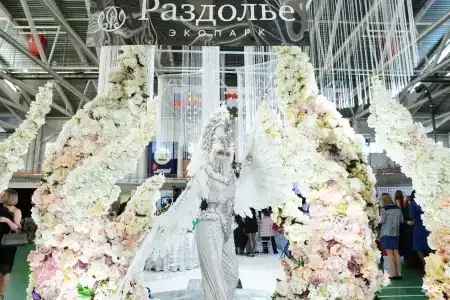 Раздолье - 43