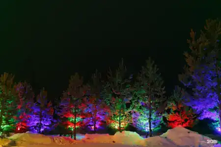 12 сосен - 31