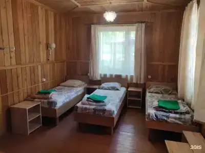 Василёк - 55
