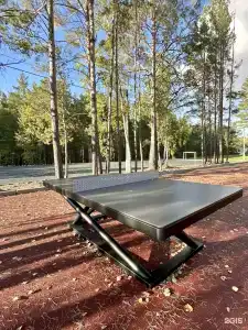 Сосновый бор Ачинск - 18