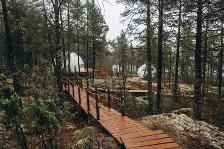 Грибная Находка - 28