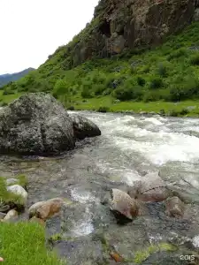 Елочки - 0
