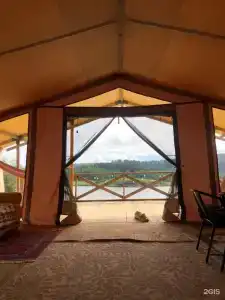 Лисичкин берег - 7