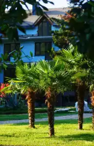 Saltykov Agoy Resort - 21