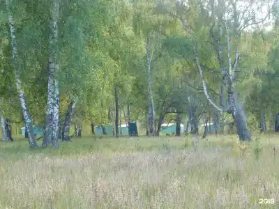 Огонёк - 43