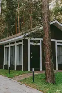 Клевер - 8