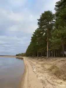 Сосновый Берег - 35