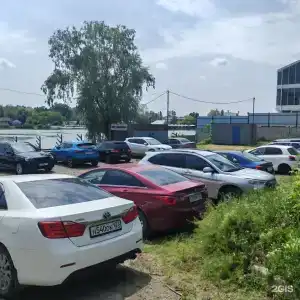 Лилия - 13