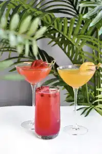 Crystal House Suite & SPA - 45
