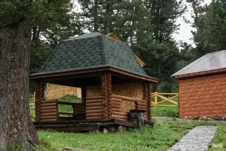 Золотой Кедр - 44