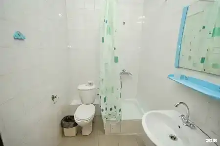 Цитрус - 19