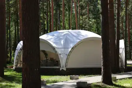 ДухЛес - 66