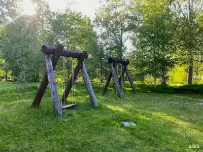 Дубки - 1